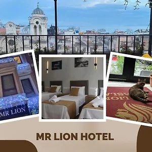 Mr Lion Kumkapi Hotel Provincia di Istanbul